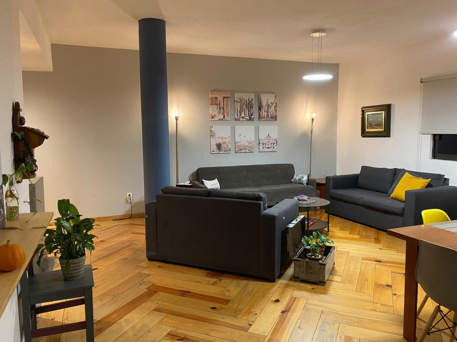 Corazon De Condesa Apartment Mexico City Ngoại thất bức ảnh